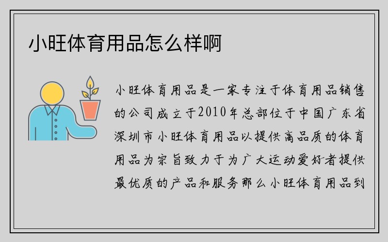 小旺体育用品怎么样啊