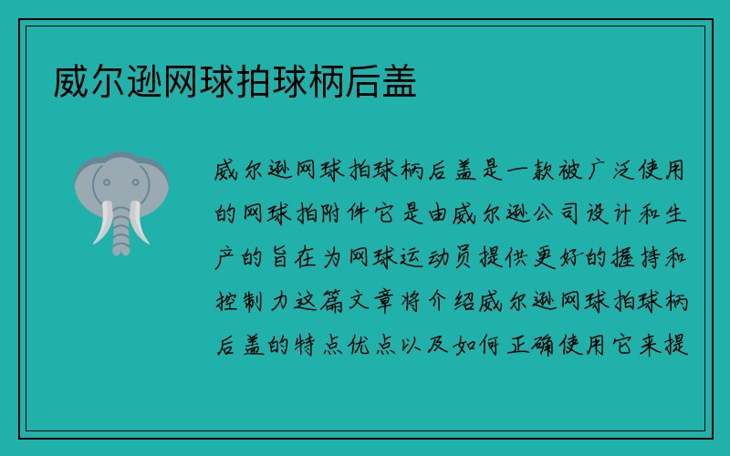 威尔逊网球拍球柄后盖