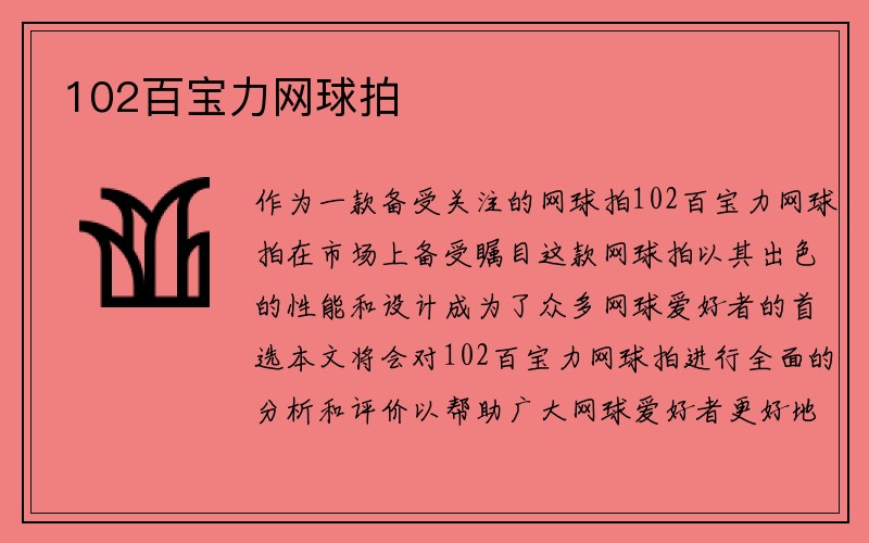 102百宝力网球拍