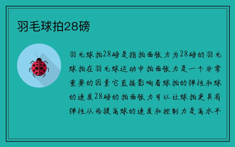 羽毛球拍28磅