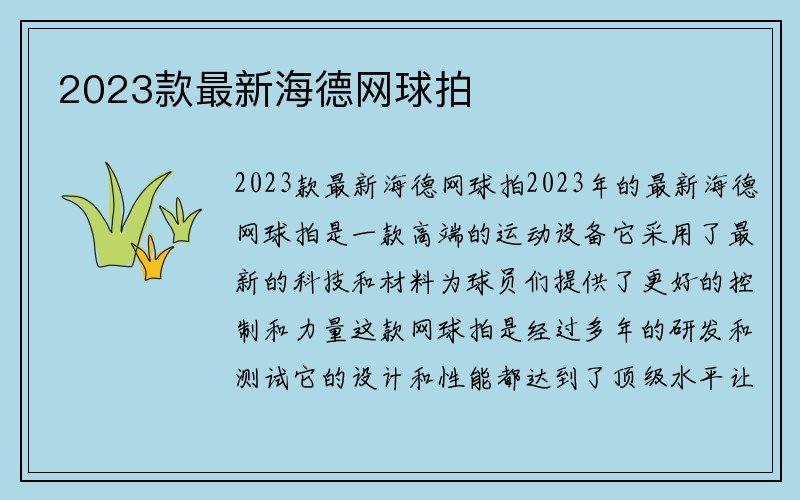 2023款最新海德网球拍